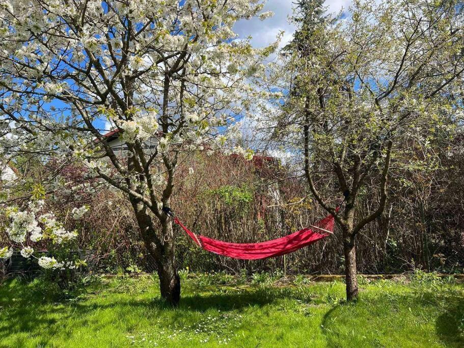 Apartament W ,Chlewiku” Gołdap Exteriör bild